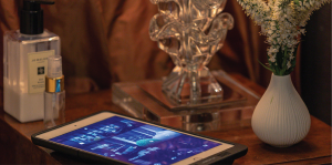 Photograph of a Jobe Systems Control Solution